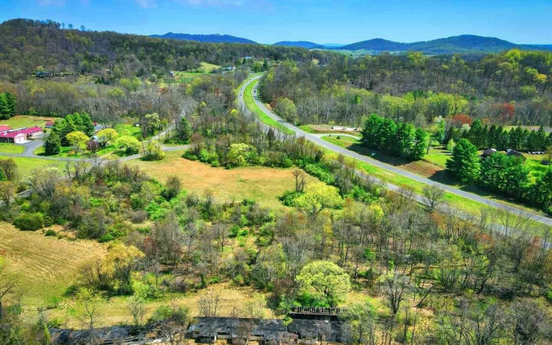 Snapshot 2021: Development