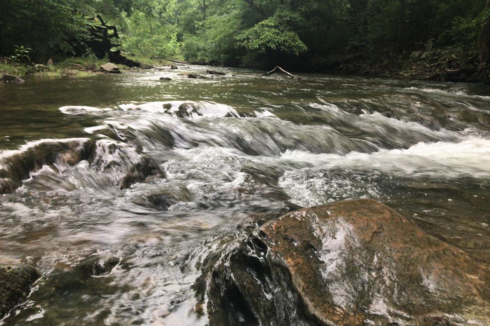 Rappahannock’s neighboring watershed sees dangerous bacteria levels as streams at home drop into safe ranges