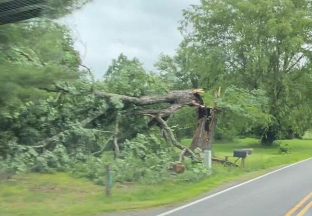 Storm damage from the evening of May 26 along Eggbornsville Road.