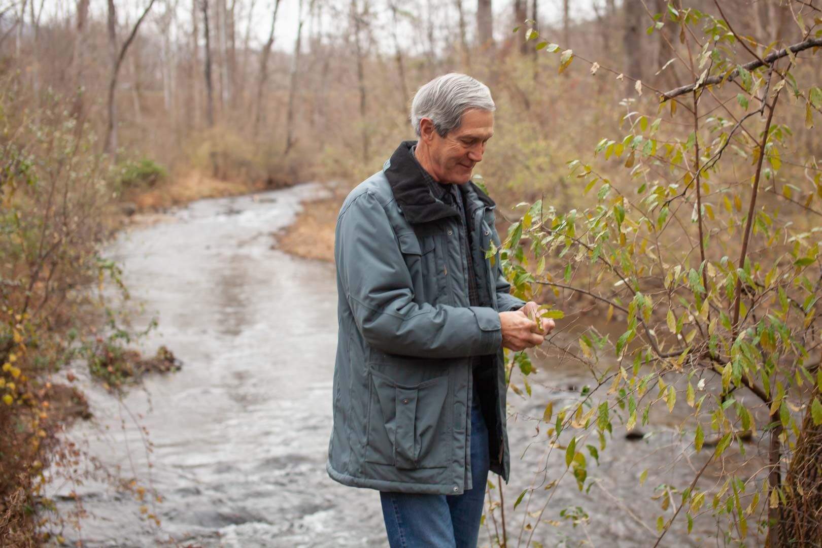 Mike Wenger at bank of the Rush River at the county park describing the invasive species Autumn Olive.