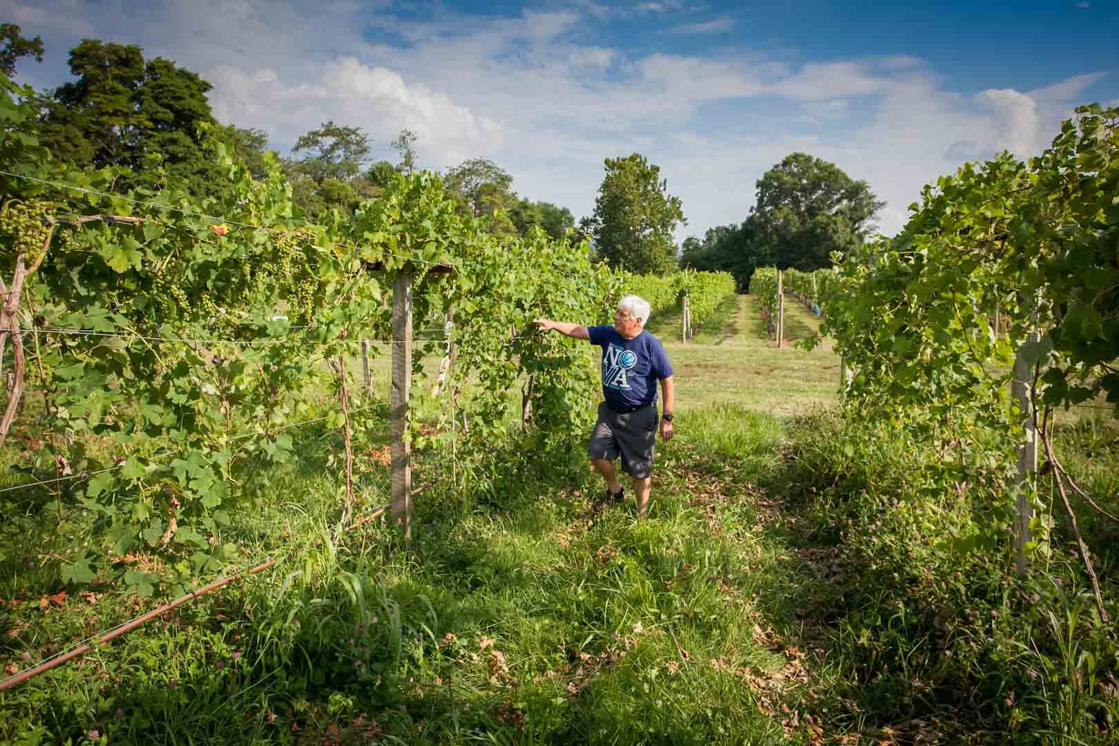 Bill Gadino at Gadino Cellars