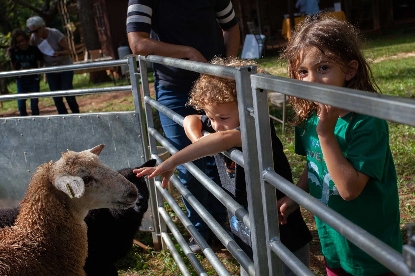Children enjoy "Lamb Town" at Happy Henz Farm in Rock Mills at the 2021 Rappahannock Farm Tour.