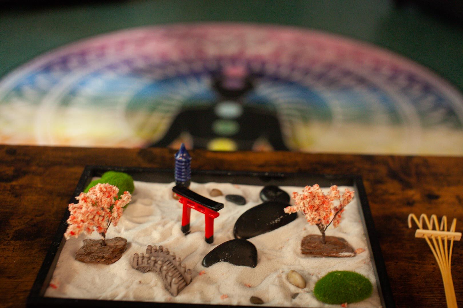 The S.E.E Center takes a holistic approach to recovery and offers a meditation room for people to relax and decompress.