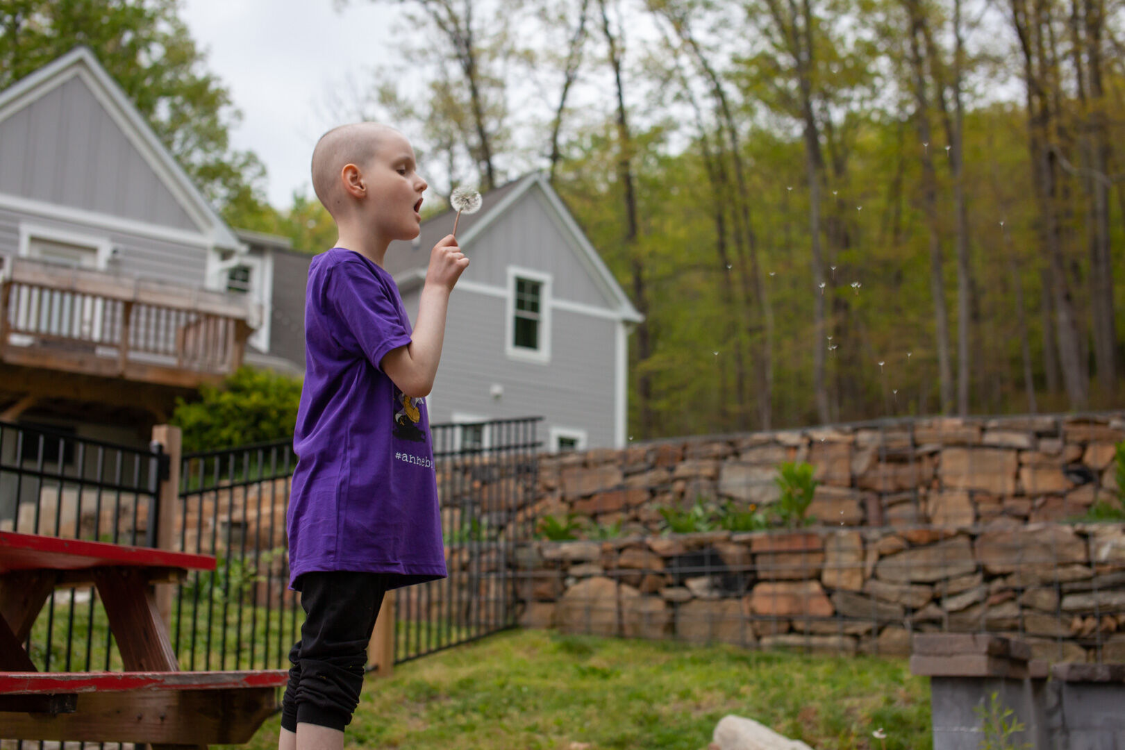 Anne blows a dandelion in the garden of their Woodville home.