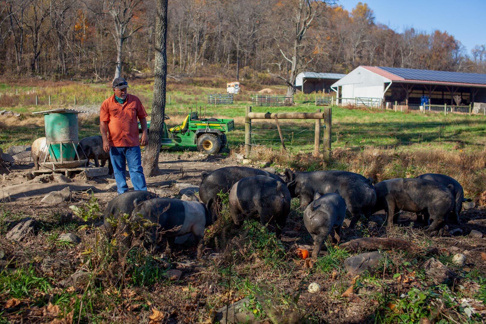 Rappahannock farmer Mike Sands says that in the last year the cost of urea, a common form of nitrogen for pastures, has jumped from $370 a ton to $920 today.