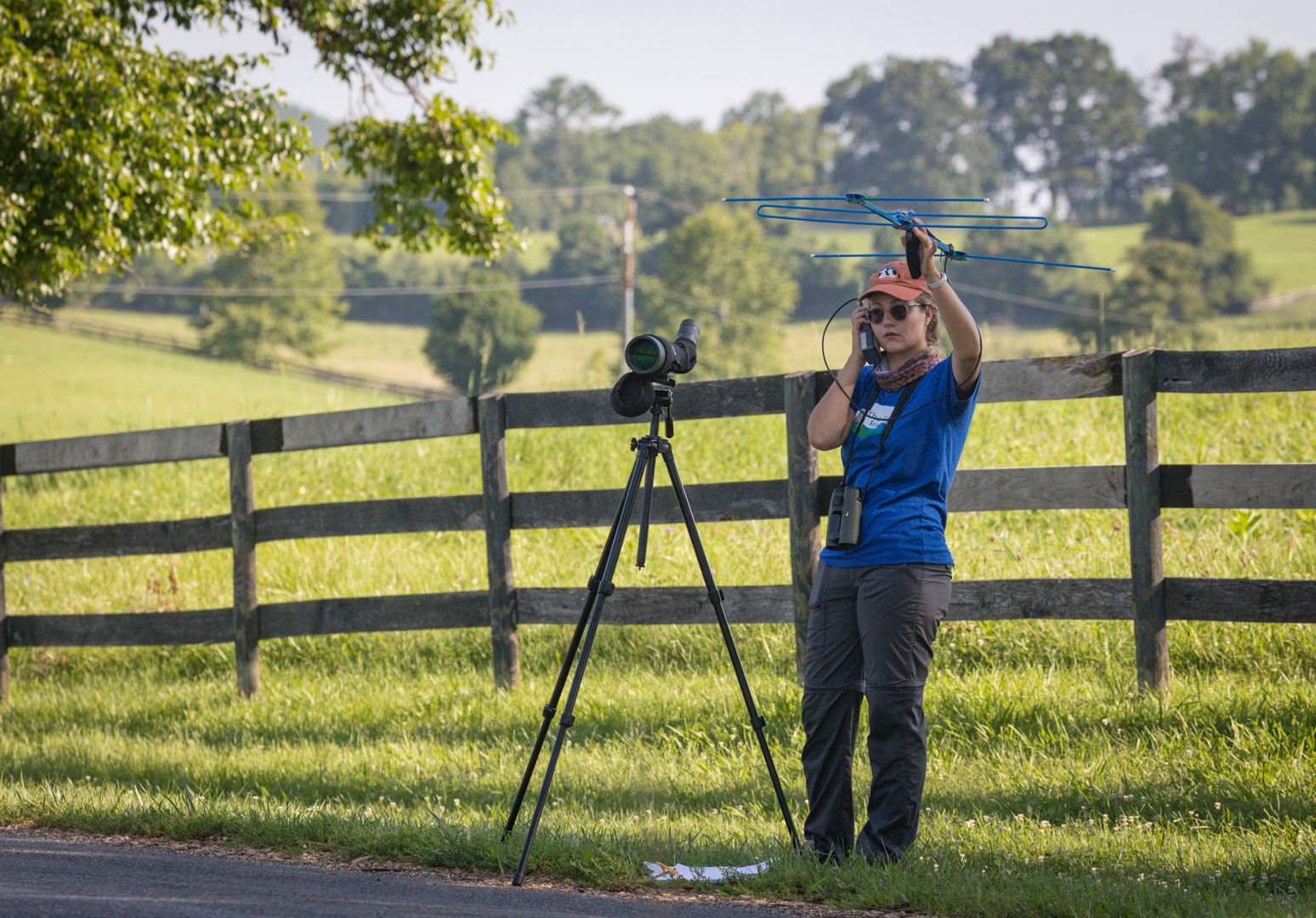 Megan McDaniels, a research technician with the Clifton Institute, tracks fledgling Kestrel with a VHF radio tag.