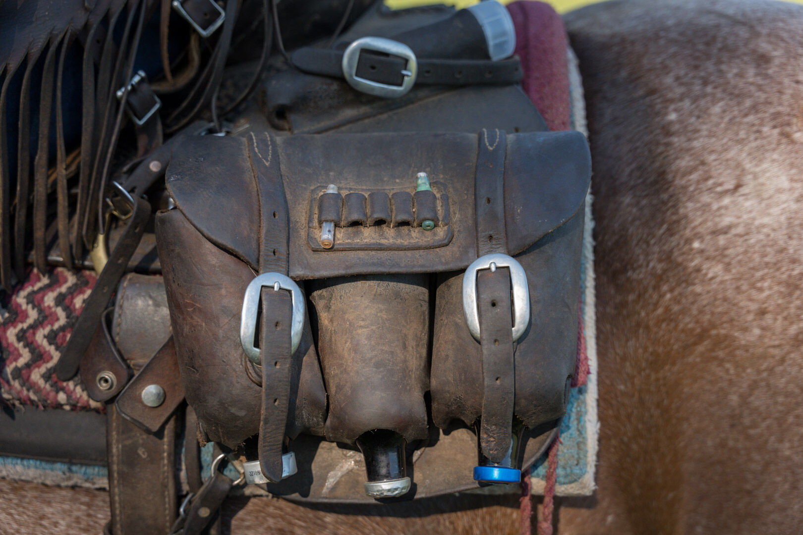 A saddlebag full of medicine for cattle