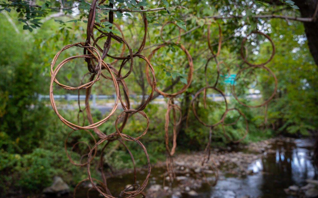 ‘Ephemeral’ art graces Sperryville trail network