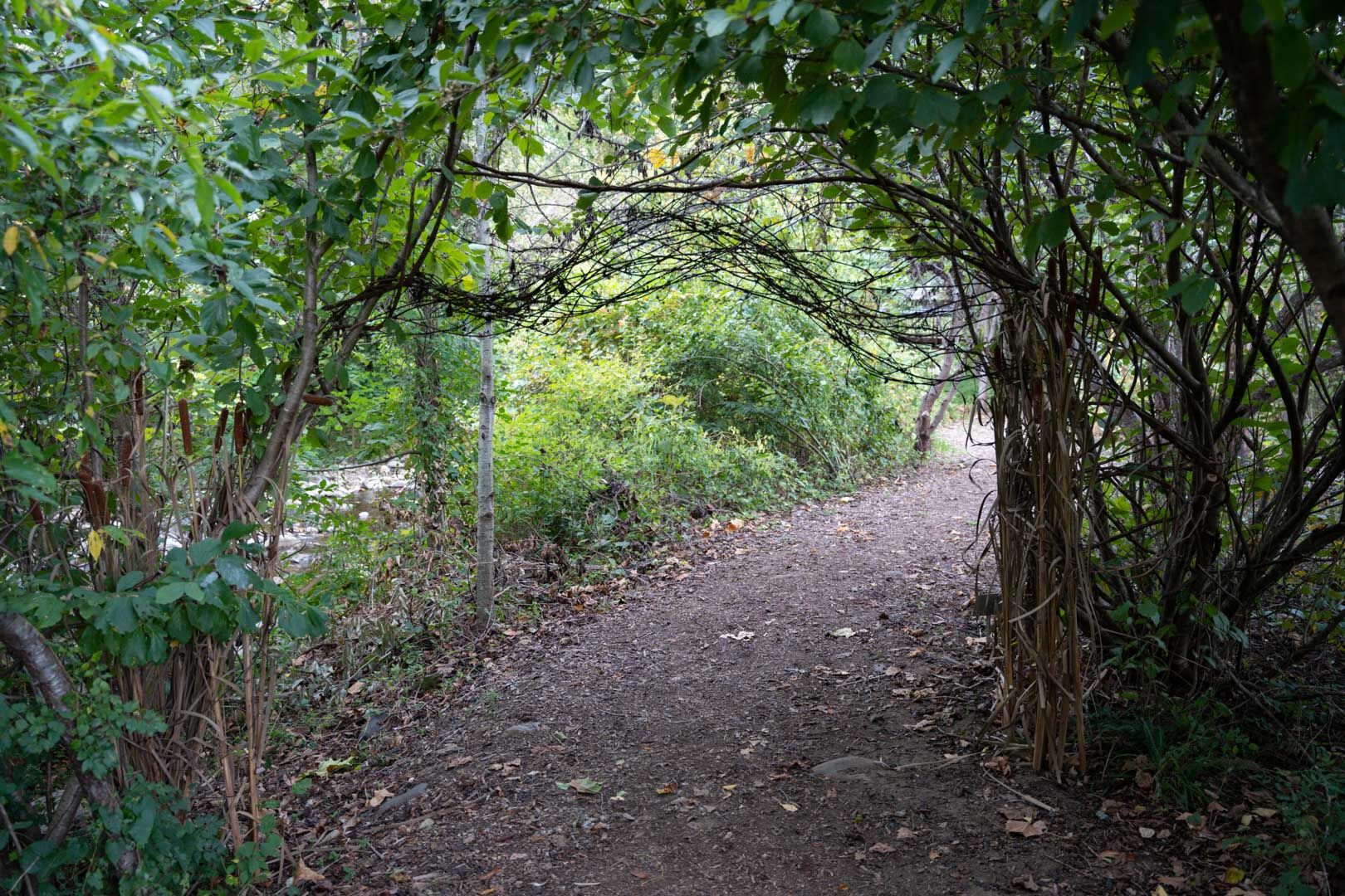 “Ephemeral Gateway” by Janet Kerig