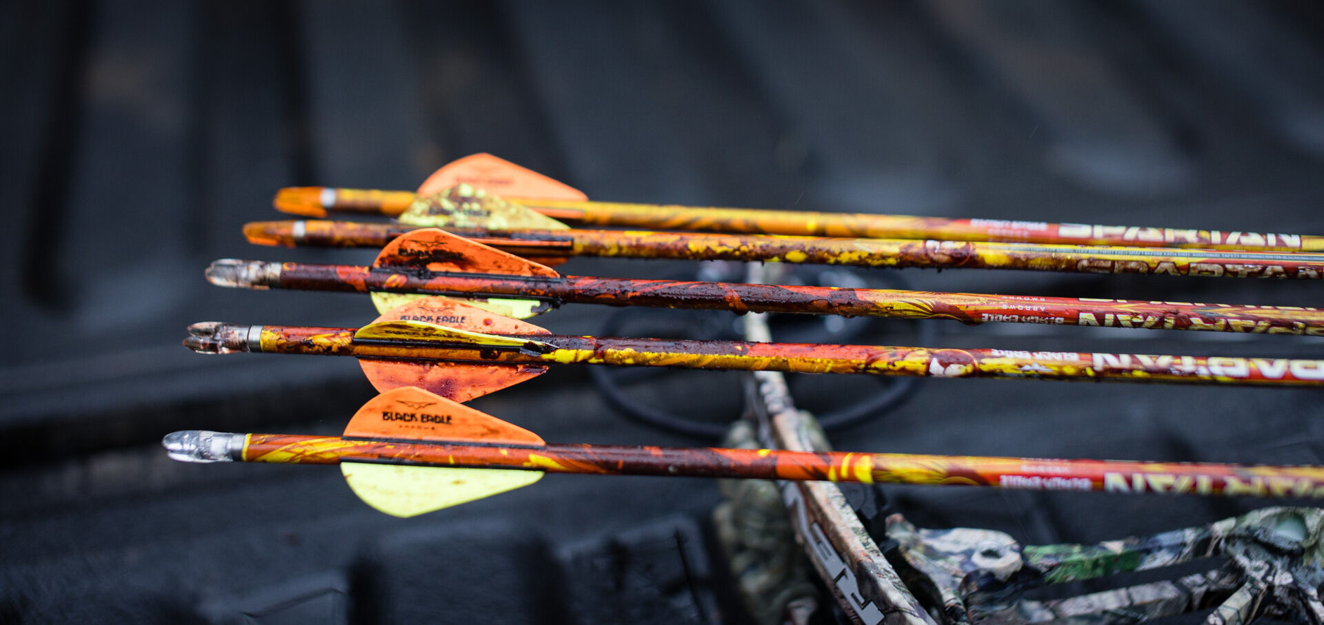 Blood from a previous hunt can be seen on the rear shaft and fletching of the arrow. This year’s hunting arrows become next year’s practice arrows.
