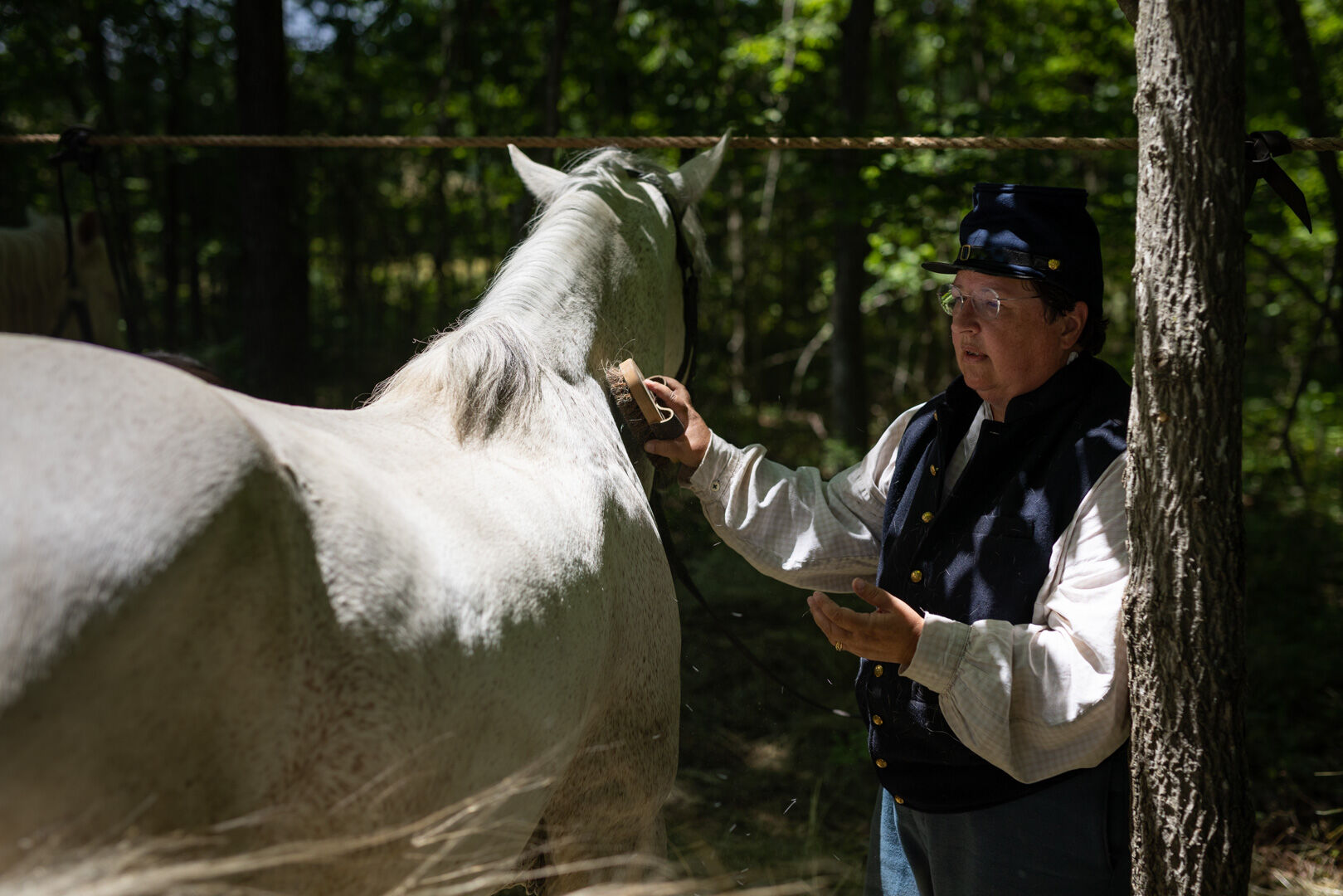 This dapple grey is a mix of Berrichon and American Quarter Horse.