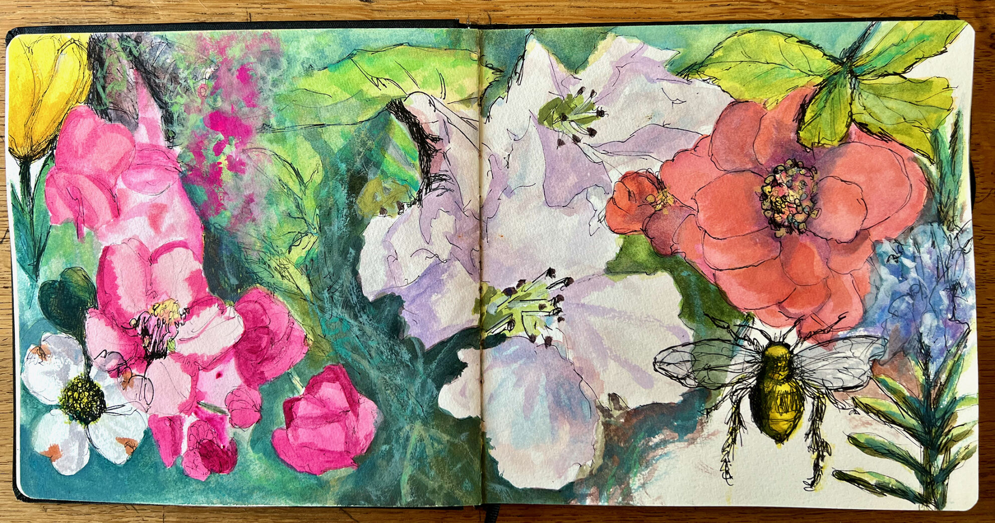 A sketch from the new book "12 Months on 12 Acres" by Ruthie Windsor-Mann.