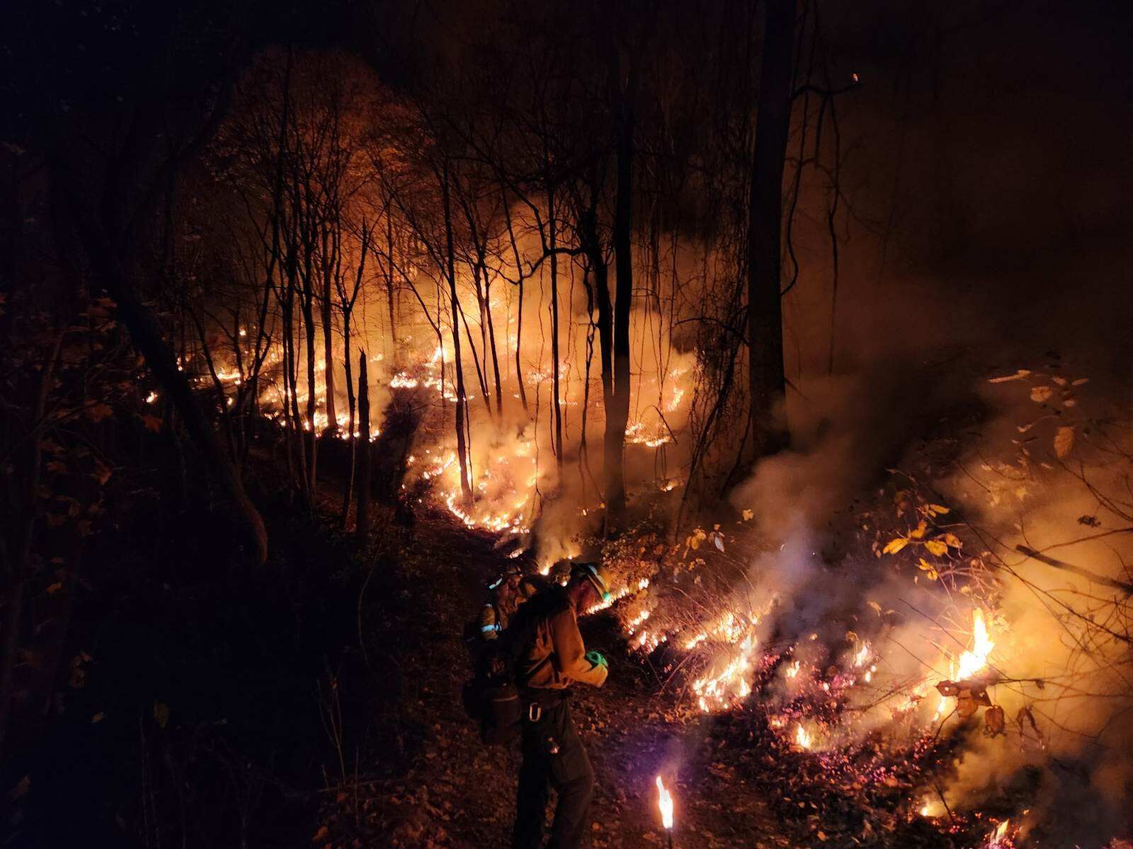 Firefighters conducting burnout and firing operations Thursday night.
