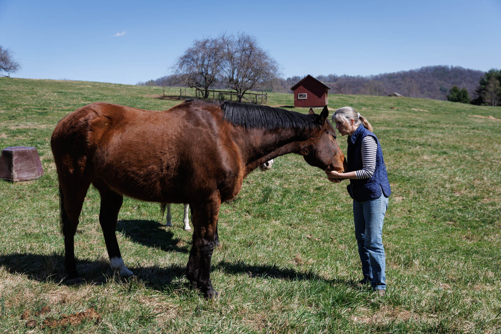Sue Garvin with Samwise, an off-track racehorse and rescue foster, Laney.