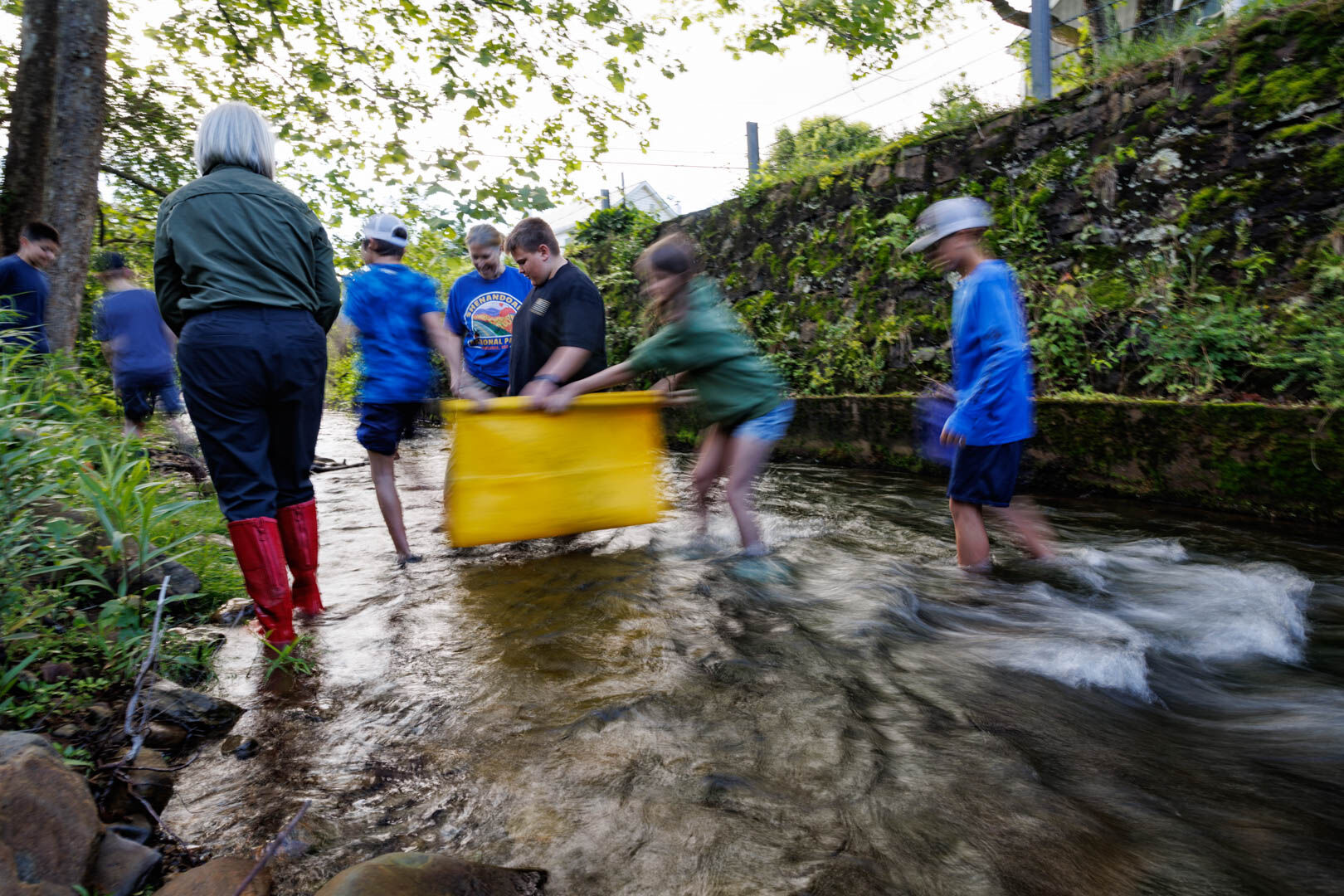 Rappahannock County Elementary students submerge a tarp in the Thornton River to collect samples at the Macroinvertebrate Sampling station.