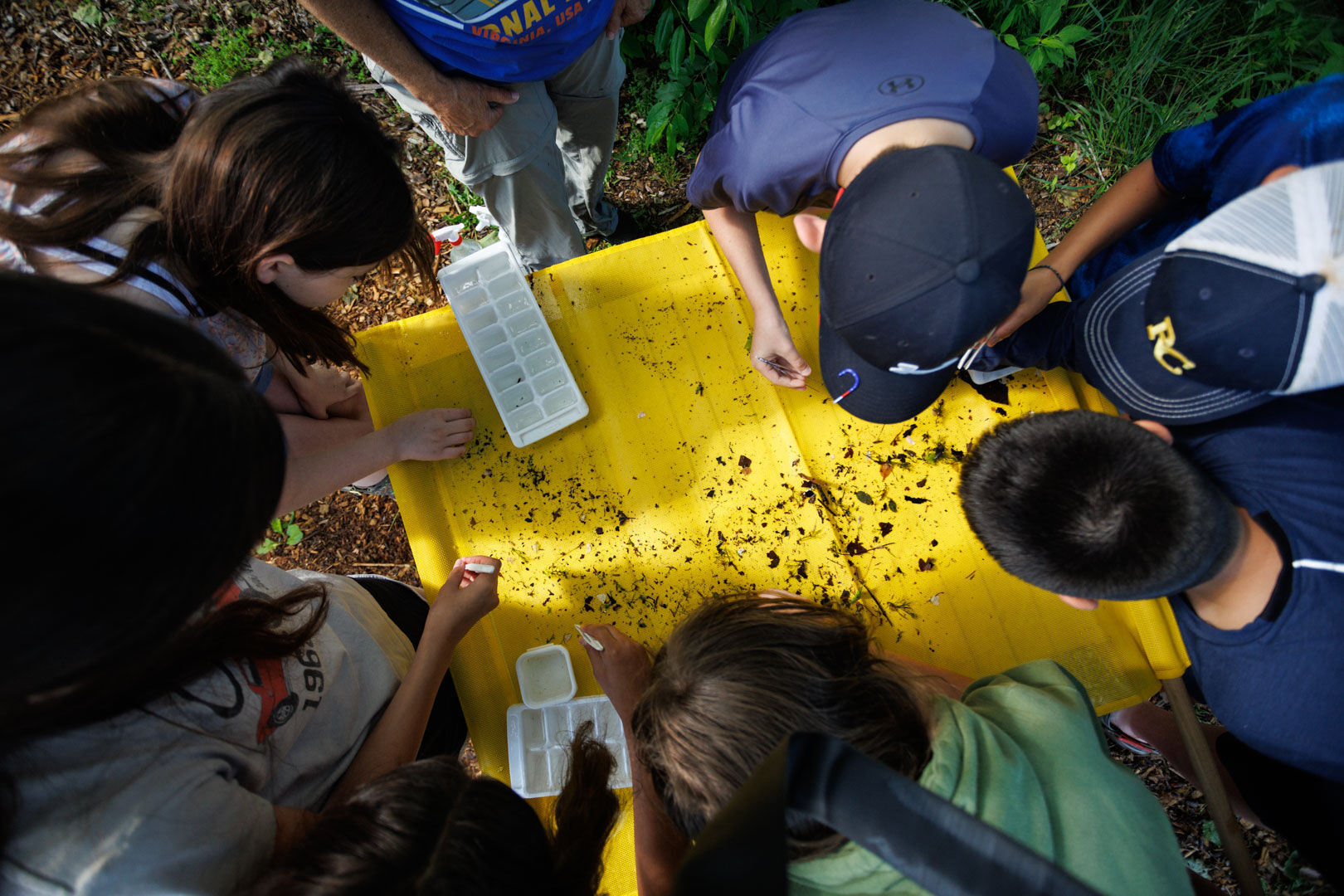 Rappahannock County Elementary students parse through what they collected from the Thornton River at the Macroinvertebrate ID and Stream Assessment station.