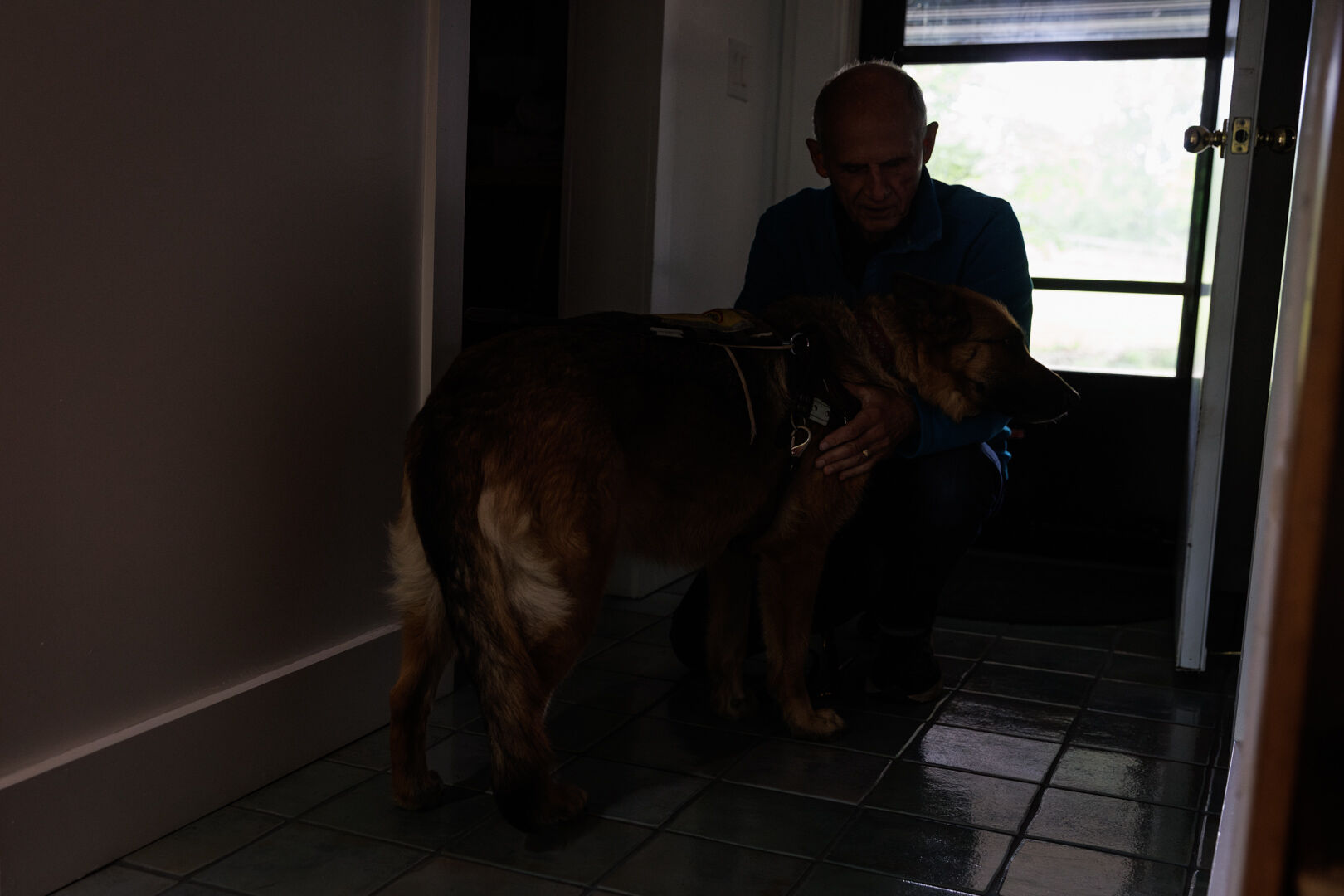 Tatel puts on Vixen's harness before a walk at their home in Rappahannock County.