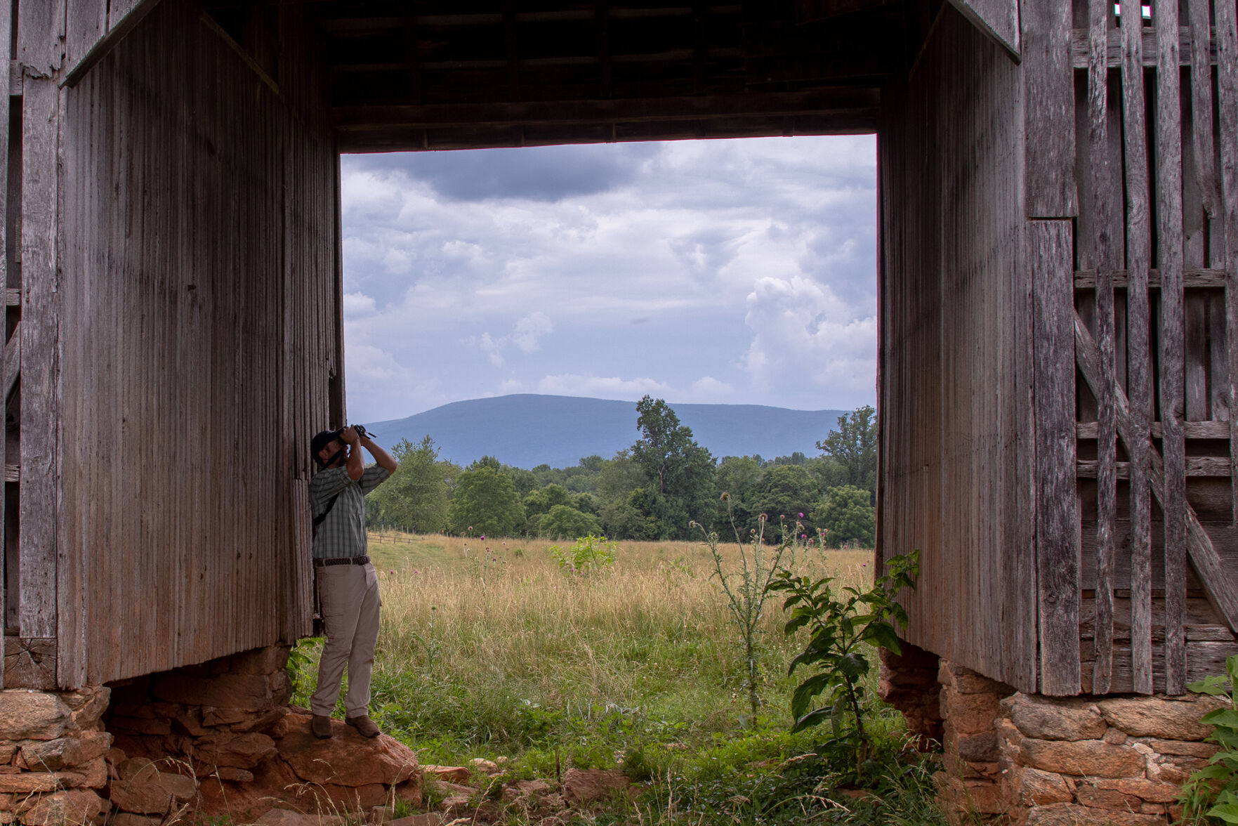 Justin Proctor, coordinator of the Virginia Grassland Bird Initiative, checks for barn owls on Rucker Farm.