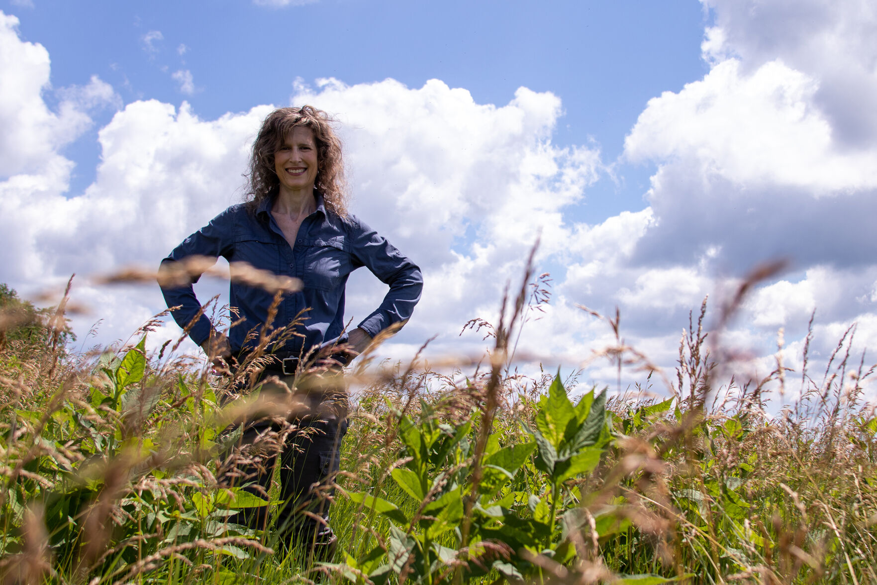 Paula Whyman in a field on her property atop Hickerson Mountain, where she is working to restore native grassland plants, and weed out the invasive ones.