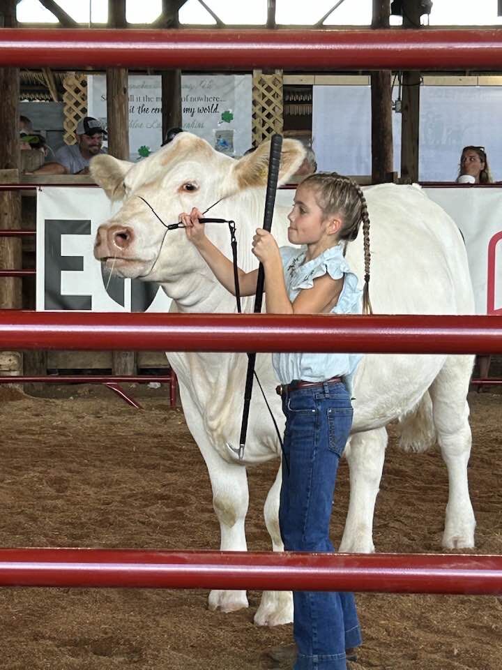 Allison Baldwin, 8, shows her steer at the Culpeper Madison Rappahannock Farm Show Saturday.