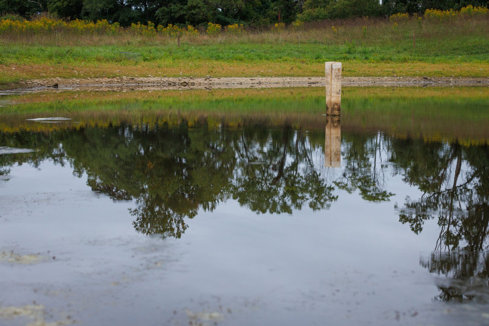A pond at Chancellors Rock Farms in Flint Hill. Farm manager Chuck Presgraces estimates it’s down 400,000 gallons since the start of summer.