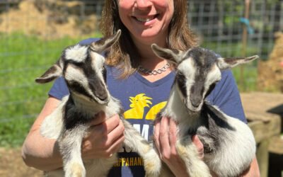 Doers Profile: Laurie Smith