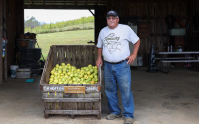 Bitter harvest: 2025 a bust for Rappahannock apples