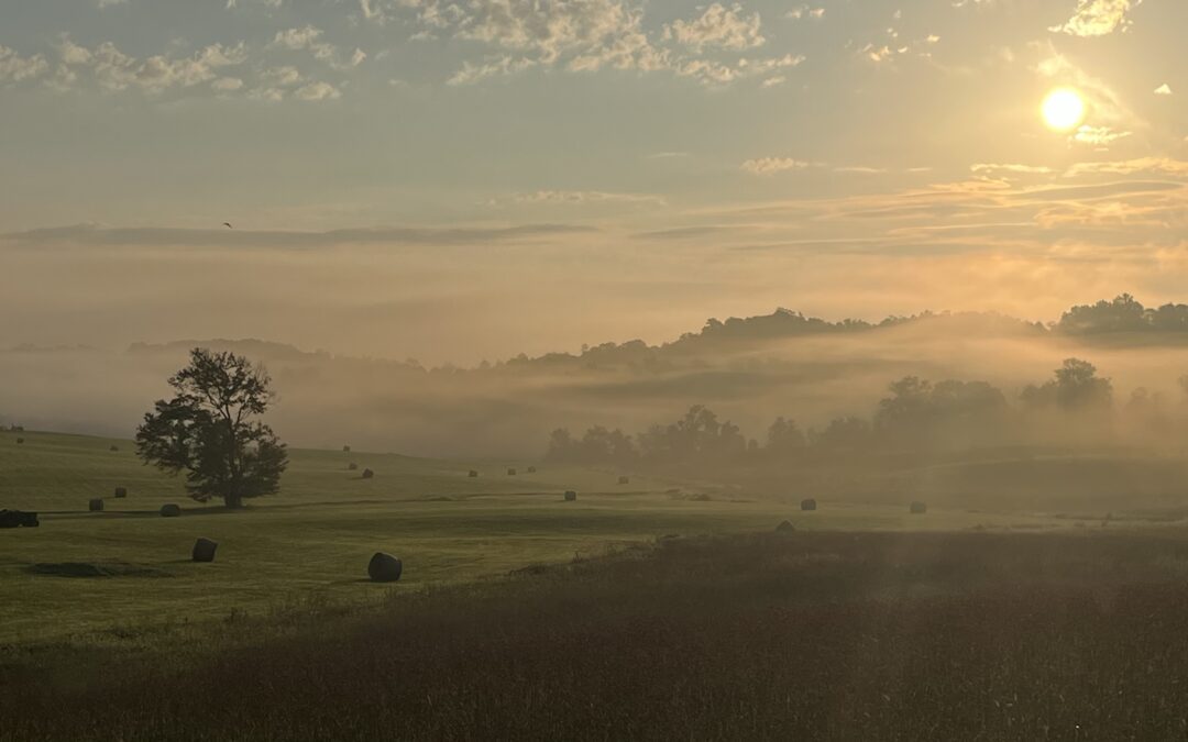 Gallery: Community Photo Contest entries, winners