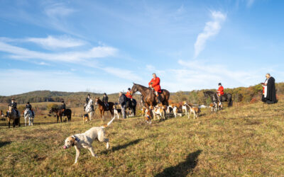 Blessing of the Hounds: A prayer before the chase