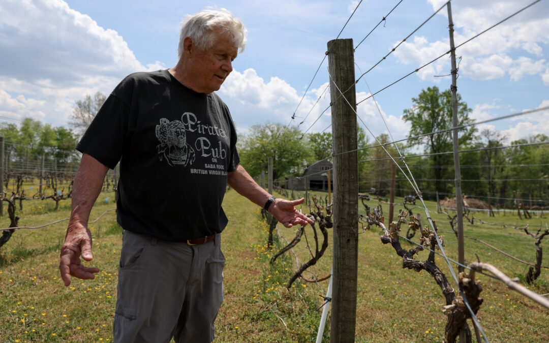 Spring duo — freezes, drought— wipes out crops in Rappahannock