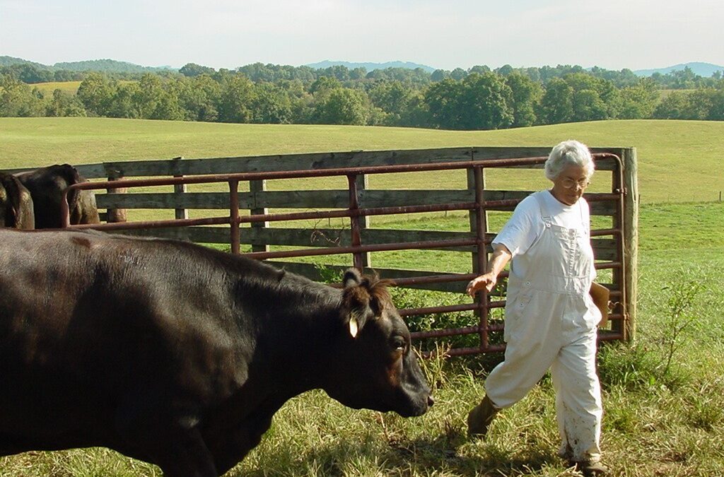 Monira Rifaat: The outsider who became a trailblazer in local farming 