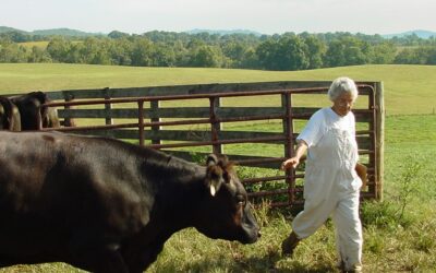 Monira Rifaat: The outsider who became a trailblazer in local farming