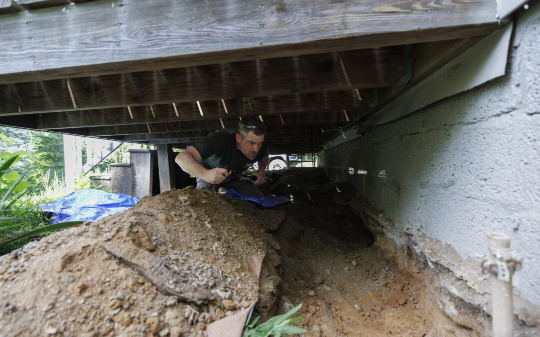 Hear something behind the wall at night? Meet the man who gets it out — humanely