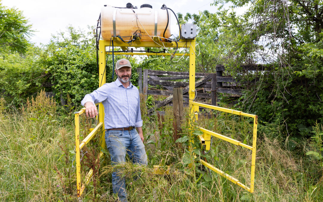 Up-tick: New invasive tick threatens cattle