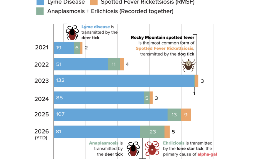 Tick-borne illnesses surge in region